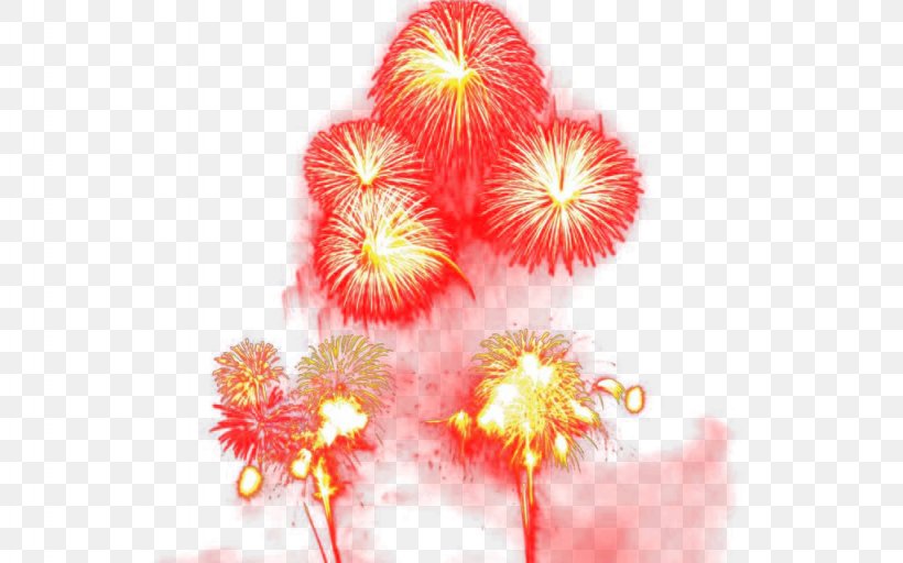 Adobe Fireworks, PNG, 1024x640px, Fireworks, Adobe Fireworks, Festival, Floral Design, Flower Download Free