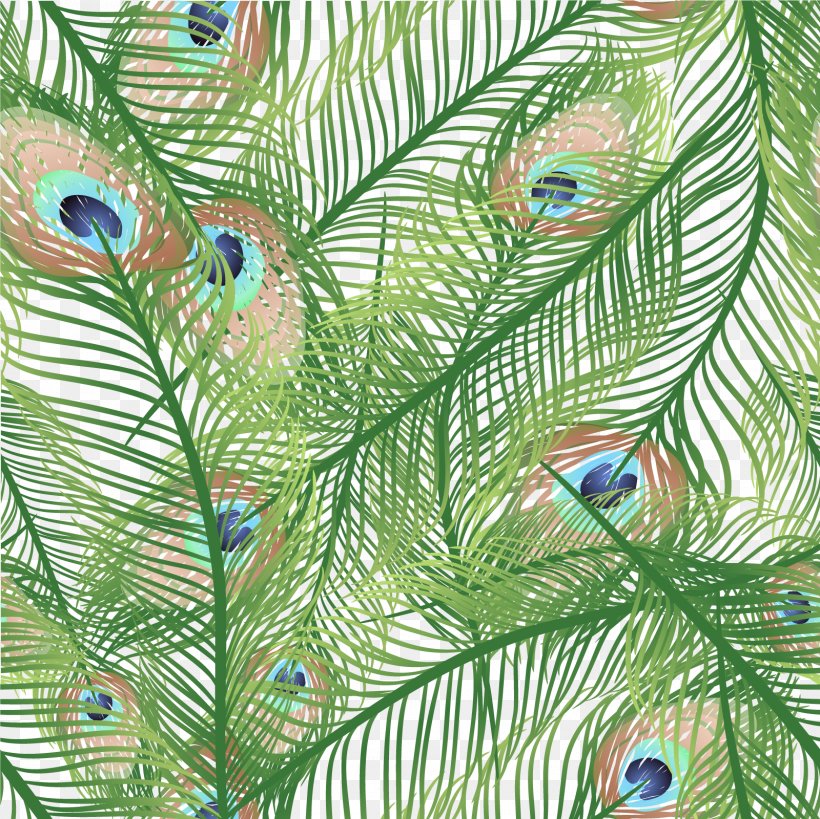 Feather Peafowl Euclidean Vector, PNG, 1600x1600px, Feather, Branch, Common Pet Parakeet, Conifer, Designer Download Free