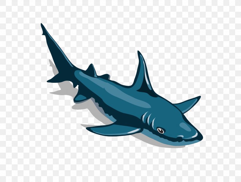 Great White Shark Cartoon Hammerhead Shark, PNG, 1485x1123px, Shark, Animal, Aquatic Animal, Bull Shark, Cartilaginous Fish Download Free