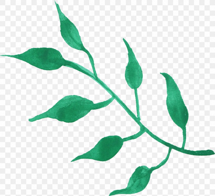 Leaf Watercolor Painting Clip Art, PNG, 887x806px, Leaf, Branch, Color, Display Resolution, Flora Download Free