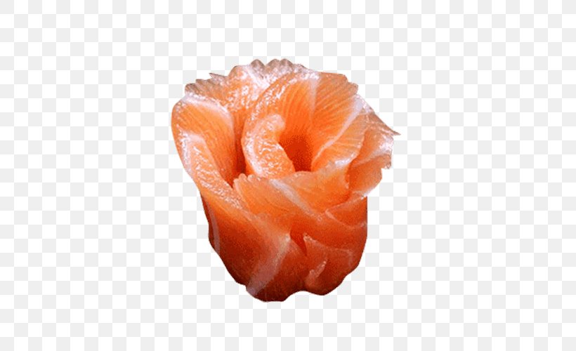 Lox, PNG, 500x500px, Lox, Flower, Orange, Peach, Petal Download Free