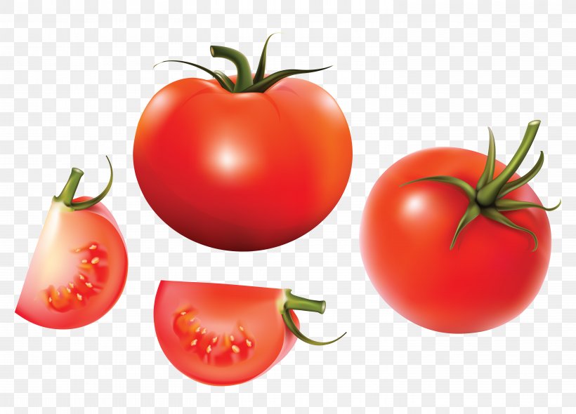 Tomato Soup Euclidean Vector Vegetable, PNG, 5906x4252px, Tomato Soup, Bush Tomato, Chart, Diet Food, Drawing Download Free
