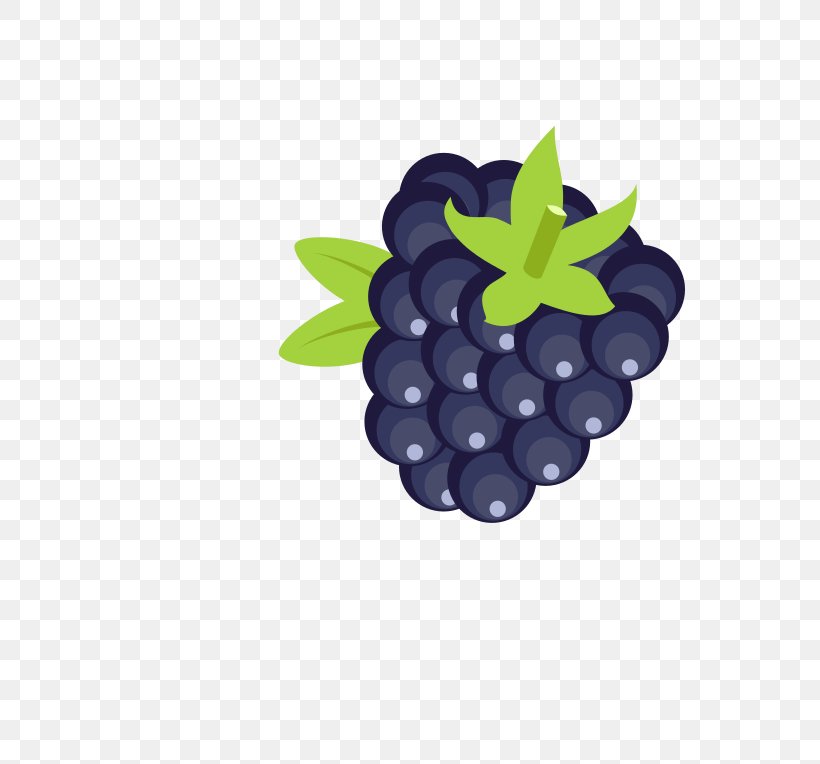 Blackberry Pie Clip Art, PNG, 800x764px, Blackberry Pie, Amora, Berry, Bilberry, Blackberry Download Free