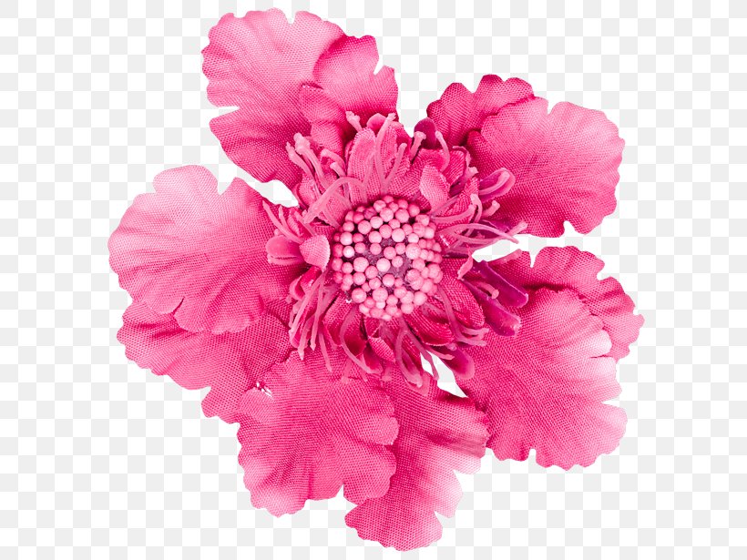 Carnation Stock Photography Pink Flowers Cut Flowers, PNG, 600x615px, Carnation, Artificial Flower, Cut Flowers, Dianthus, Floral Design Download Free