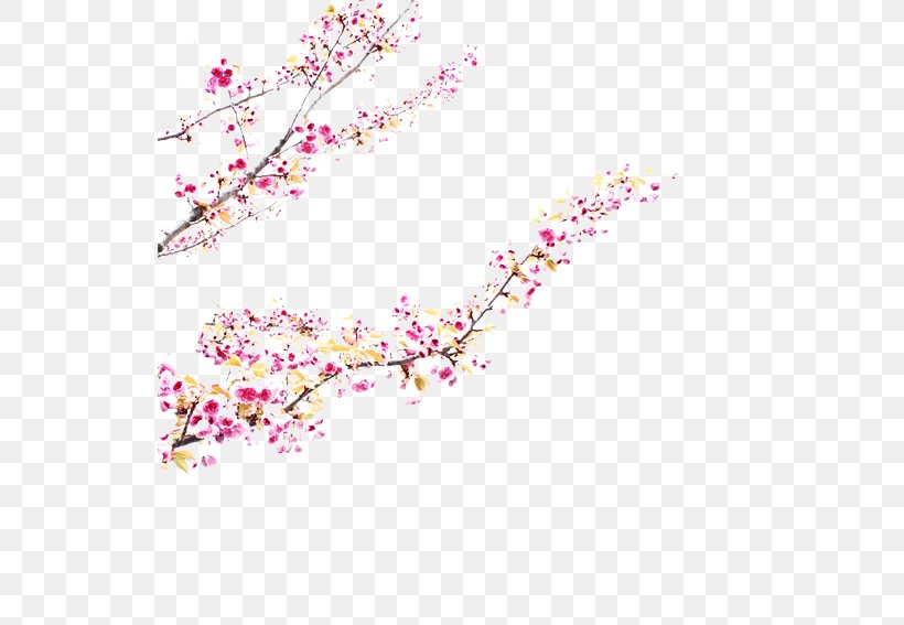 Cherry Blossom Pink M Petal ST.AU.150 MIN.V.UNC.NR AD, PNG, 534x567px, Blossom, Branch, Cherry, Cherry Blossom, Flower Download Free