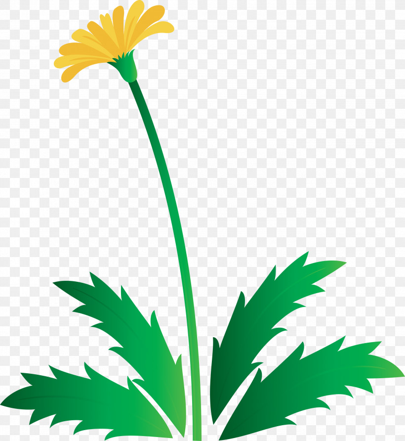 Dandelion Flower Easter Day Flower Spring Flower, PNG, 2755x3000px, Dandelion Flower, Chamomile, Easter Day Flower, English Marigold, Flower Download Free