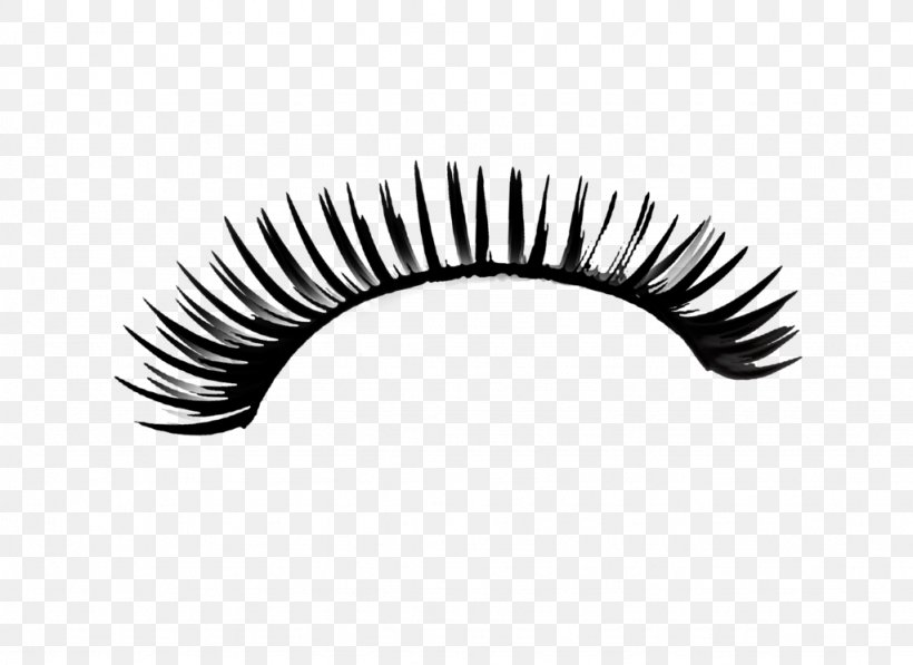 Eyelash Extensions Photography Clip Art, PNG, 1024x746px, Eyelash, Art, Beauty, Black And White, Cosmetics Download Free