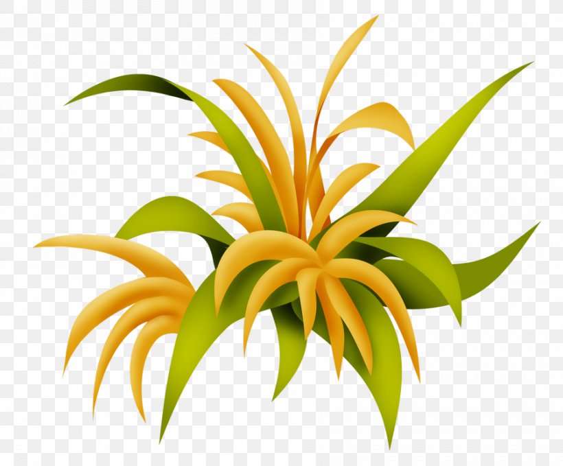 Lily Flower Cartoon, PNG, 900x746px, Petal, Flower, Houseplant, Leaf, Lily Family Download Free