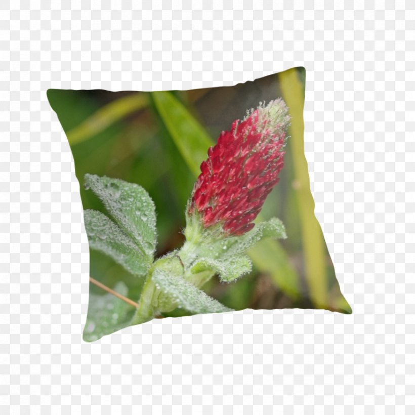 Throw Pillows Cushion, PNG, 875x875px, Throw Pillows, Cushion, Flower, Pillow, Throw Pillow Download Free