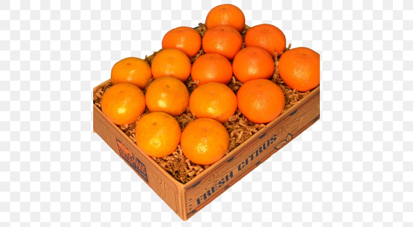 Clementine Tangerine Palm Beach Groves Mandarin Orange Tangelo, PNG, 450x450px, Clementine, Citrus, Food, Fruit, Grapefruit Download Free