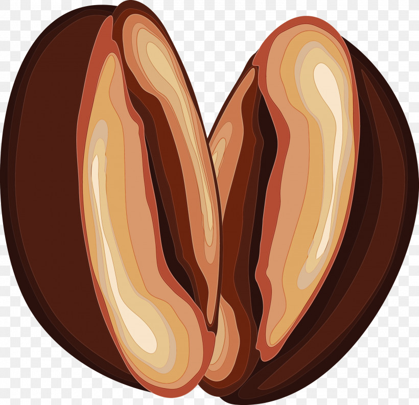 Food Plant Nut Heart Peach, PNG, 3000x2902px, Coffee, Ear, Food, Heart, Nut Download Free