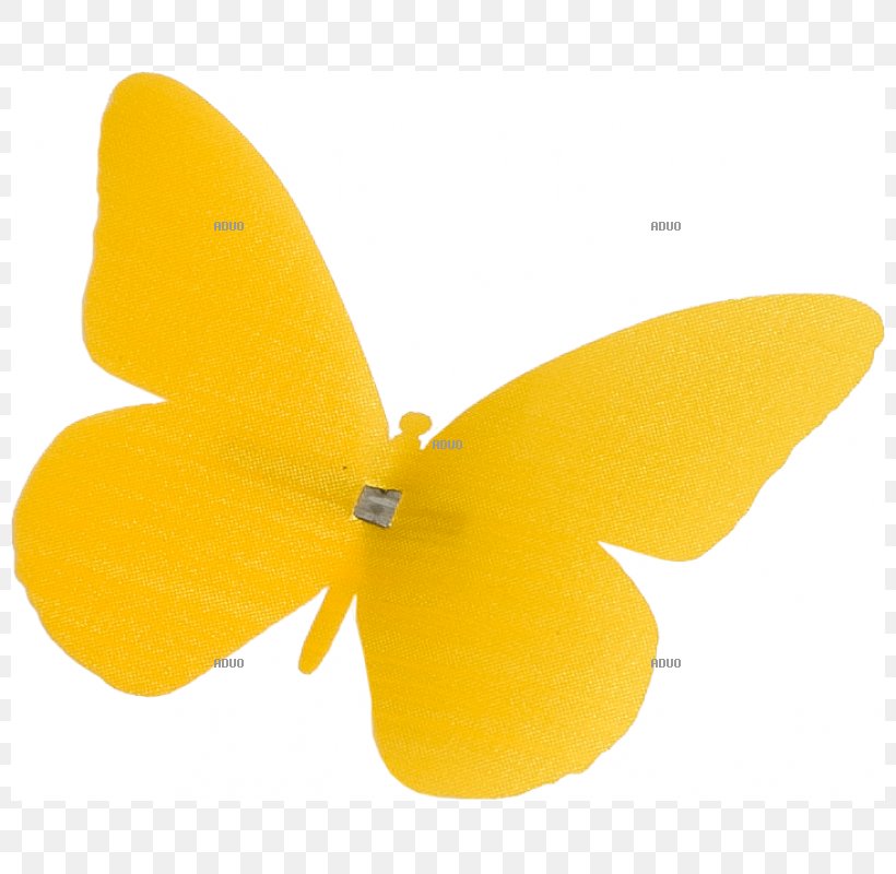 Moth Product Design M. Butterfly, PNG, 800x800px, Moth, Arthropod, Butterfly, Insect, Invertebrate Download Free
