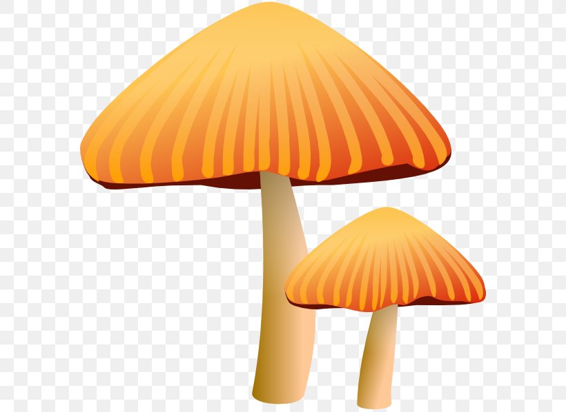 Mushroom Morchella Clip Art, PNG, 588x598px, Mushroom, Common Mushroom, Edible Mushroom, Lamp, Lampshade Download Free
