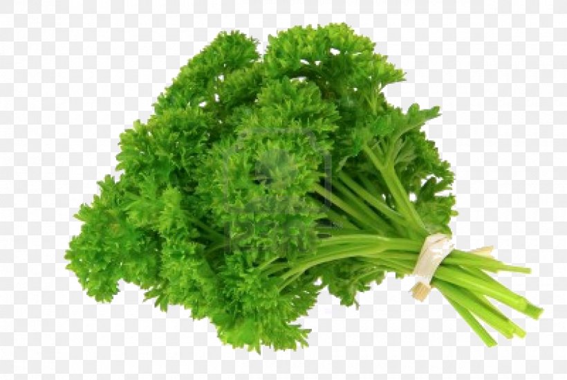 Parsley Organic Food Herb Vegetable, PNG, 1200x804px, Parsley, Chives, Common Sage, Coriander, Food Download Free