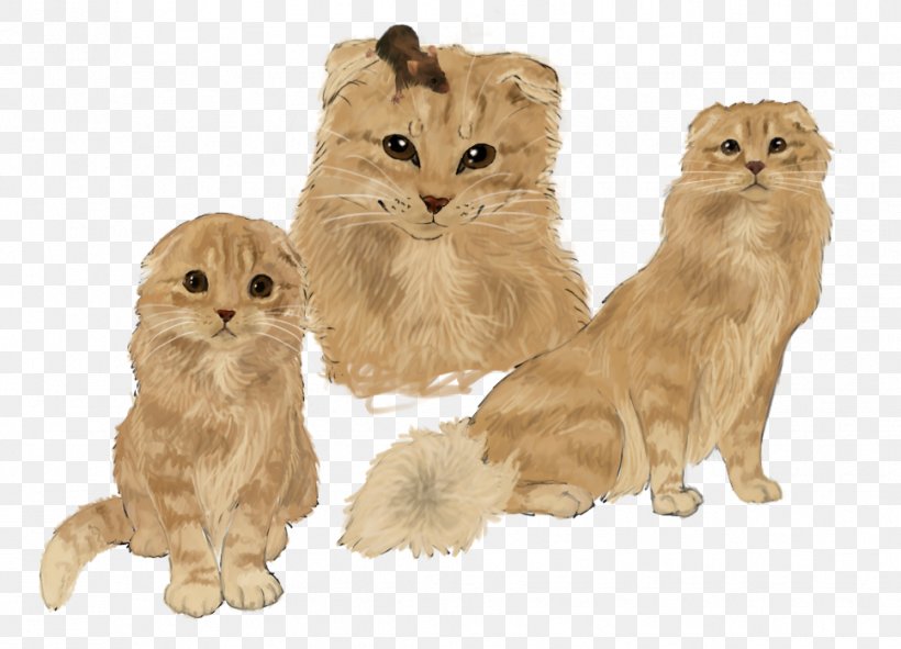 Whiskers Kitten Art Hollyleaf Oriental Shorthair, PNG, 968x698px, Whiskers, Art, Carnivoran, Cat, Cat Like Mammal Download Free