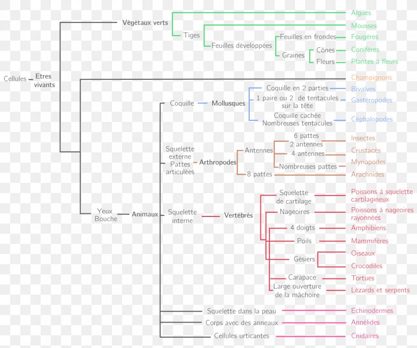 Document Line Angle, PNG, 1633x1365px, Document, Area, Diagram, Paper, Text Download Free