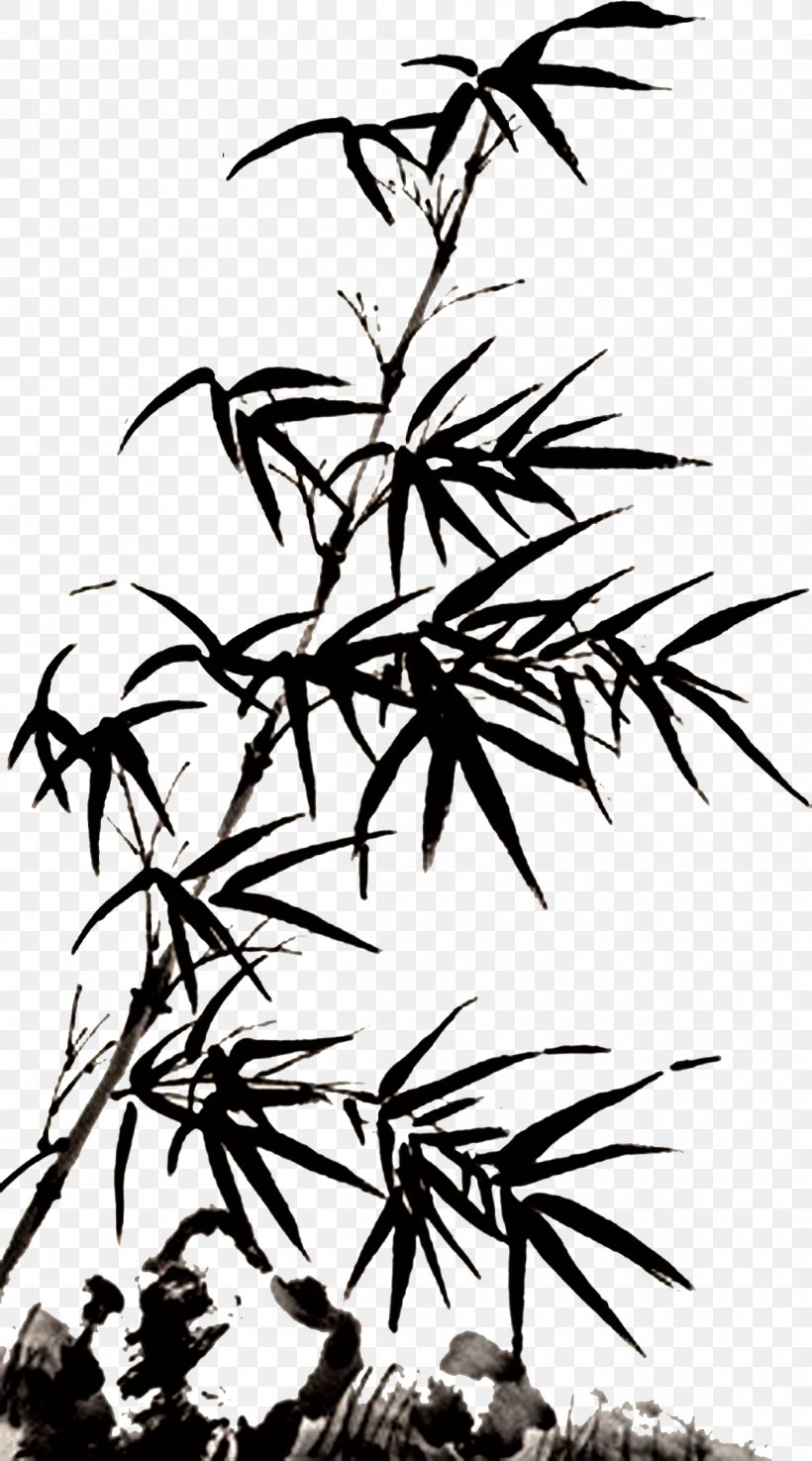 Tengzhou Qi Warring States Period Tiu1ebft U51afu9a69, PNG, 1254x2256px, Tengzhou, Black And White, Branch, Flora, Flower Download Free