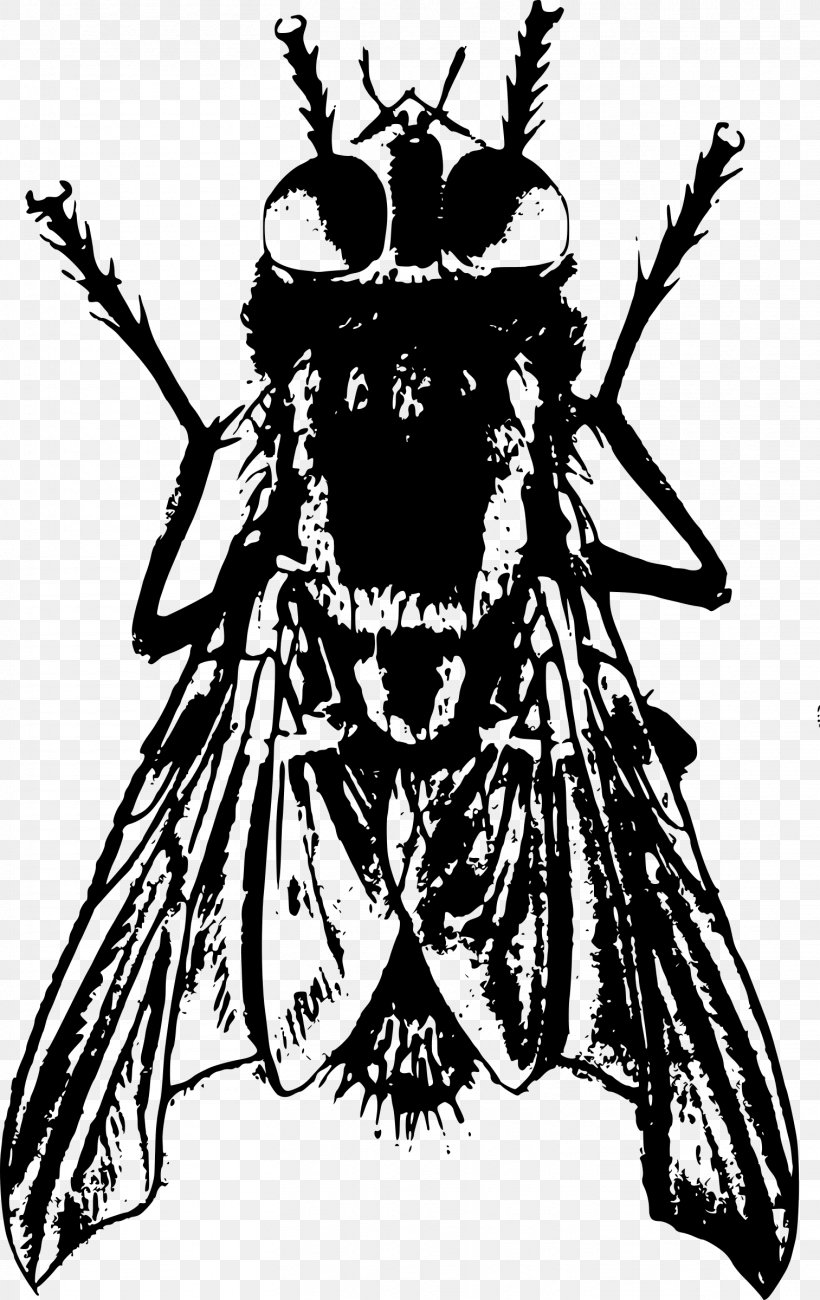 Bee Insect Drawing Black And White Housefly, PNG, 1513x2400px, Bee, Art, Arthropod, Black And White, Drawing Download Free