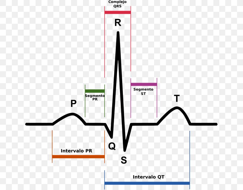 Electrocardiography QRS Complex Sinus Rhythm Heart T Wave, PNG, 651x640px, Electrocardiography, Area, Cardiac Muscle, Cardiology, Diagram Download Free