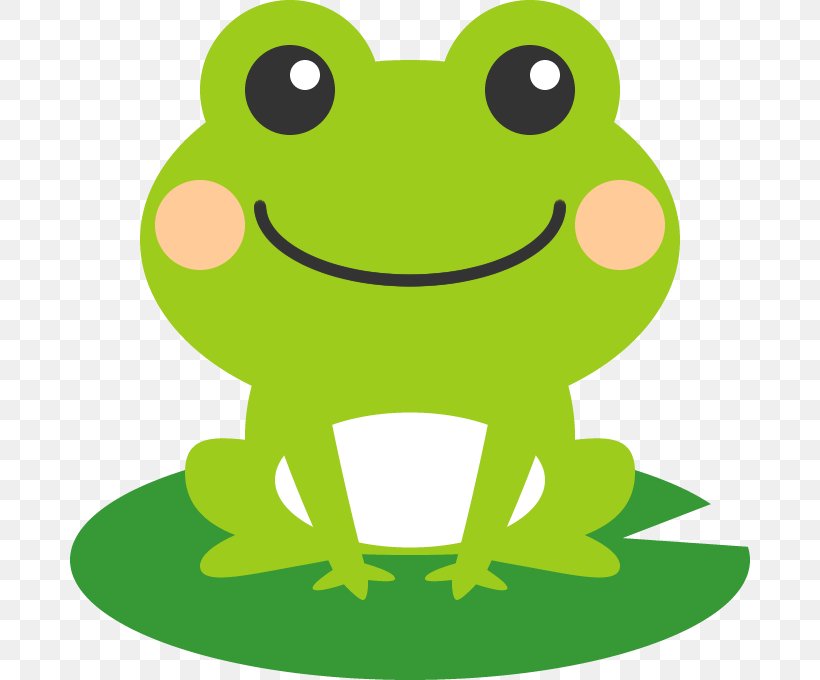 Frog Photography グーネット, PNG, 680x680px, Frog, Amphibian, Amphibians, Bhekasana, Book Illustration Download Free