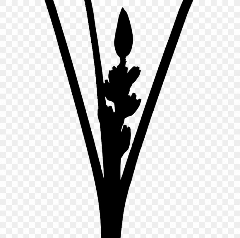 Leaf Line Angle Plant Stem Font, PNG, 870x864px, Leaf, Black M, Blackandwhite, Flower, Logo Download Free