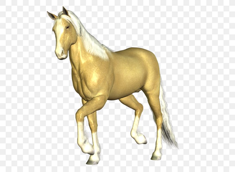 Mustang Mane Stallion Colt Foal, PNG, 800x600px, Mustang, American Miniature Horse, American Paint Horse, Animal Figure, Arabian Horse Download Free