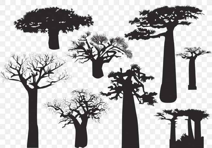 Baobab Tree Silhouette, PNG, 5833x4083px, Baobab, Black And White, Branch, Desert, Drawing Download Free