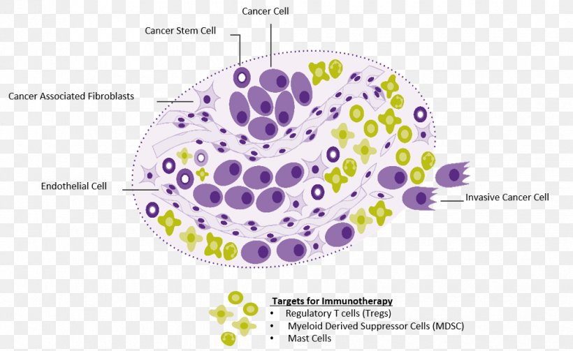 Basal-cell Carcinoma Squamous Cell Skin Cancer Mohs Surgery, PNG, 1030x632px, Basalcell Carcinoma, Cancer, Cancer Immunotherapy, Cancer Vaccine, Diagram Download Free