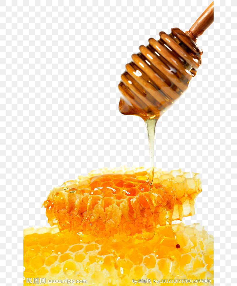 Bee Honeycomb Breakfast Cereal Mu0101nuka Honey, PNG, 658x989px, Bee, Apitoxin, Breakfast Cereal, Corn On The Cob, Cuisine Download Free