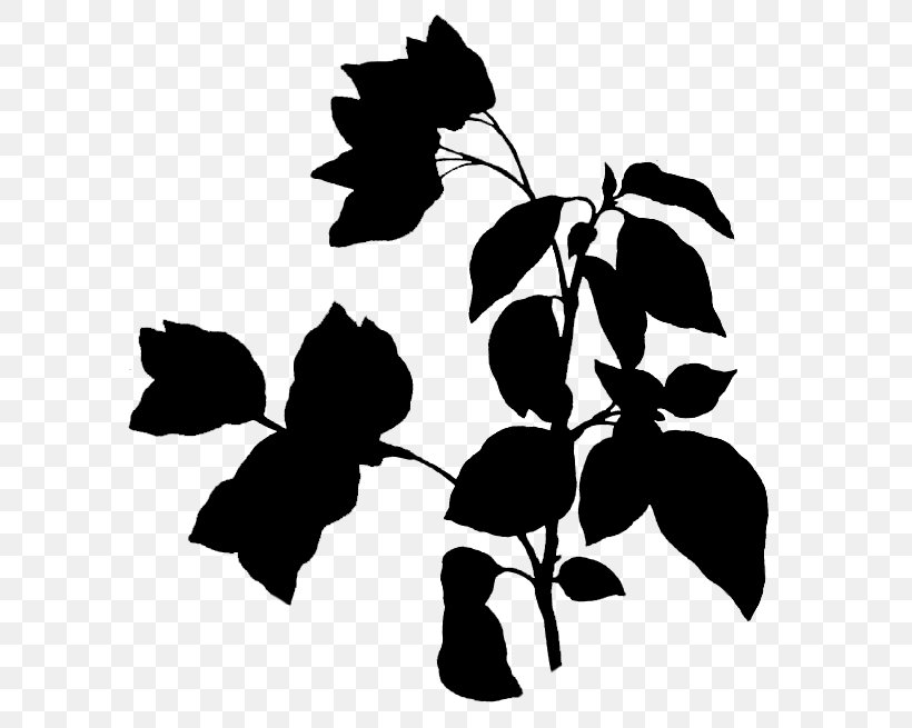 Bougainvillea Spectabilis Twig Flowering Plant Drawing Plants, PNG, 668x655px, Bougainvillea Spectabilis, Black, Blackandwhite, Botany, Bougainvillea Download Free