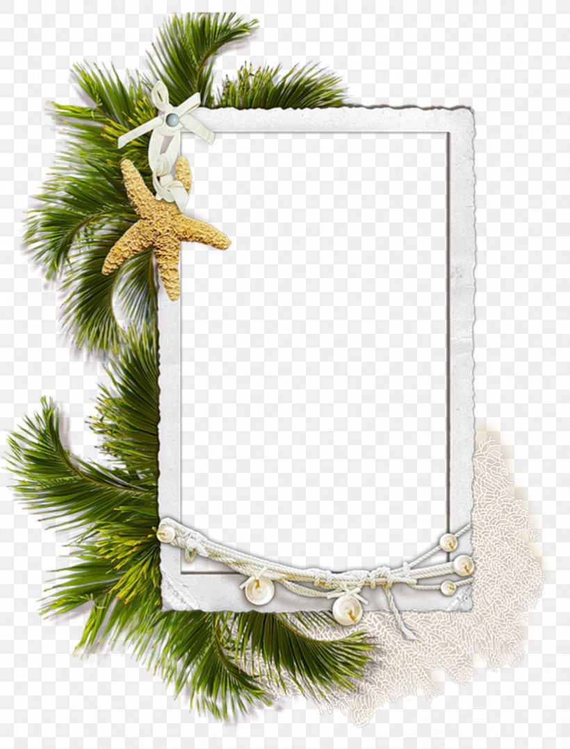 Clip Art Image Picture Frames, PNG, 822x1080px, Picture Frames, Branch, Christmas Ornament, Conifer, Drawing Download Free