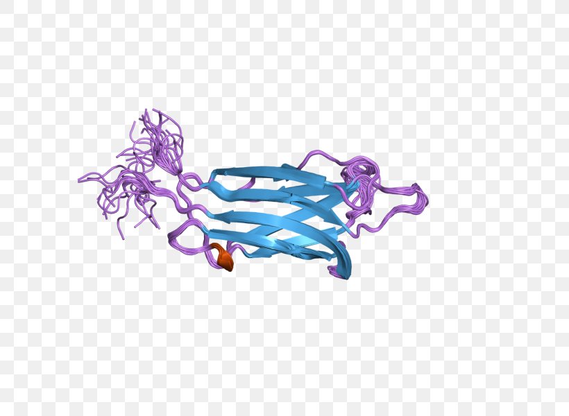 Myoferlin Dysferlin Protein Human C2 Domain, PNG, 800x600px, Watercolor, Cartoon, Flower, Frame, Heart Download Free