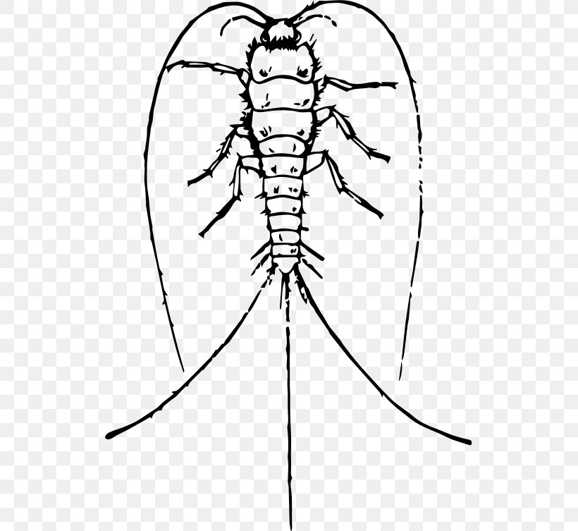 Silverfish Invertebrate Drawing Clip Art, PNG, 521x753px, Watercolor, Cartoon, Flower, Frame, Heart Download Free