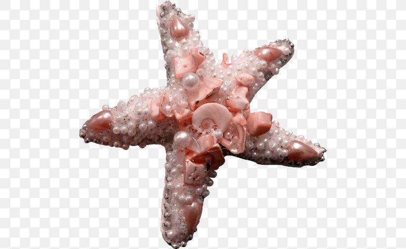 Starfish Pink Download, PNG, 500x503px, Starfish, Information, Pearl, Pink Download Free