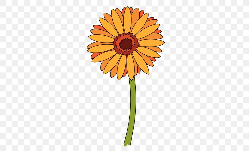 Cut Flowers Transvaal Daisy Chrysanthemum Drawing, PNG, 500x500px, Flower, Chrysanthemum, Chrysanths, Common Daisy, Common Sunflower Download Free