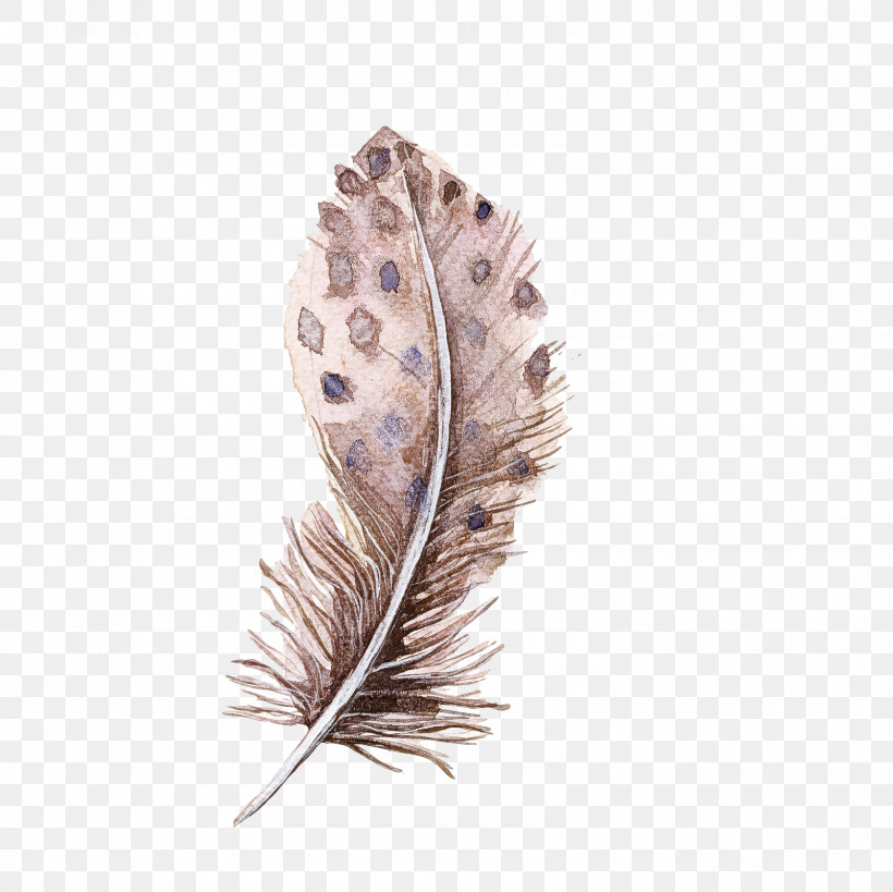Floral Design, PNG, 1600x1600px, Feather, Drawing, Floral Design, Highdefinition Video, Leaf Download Free
