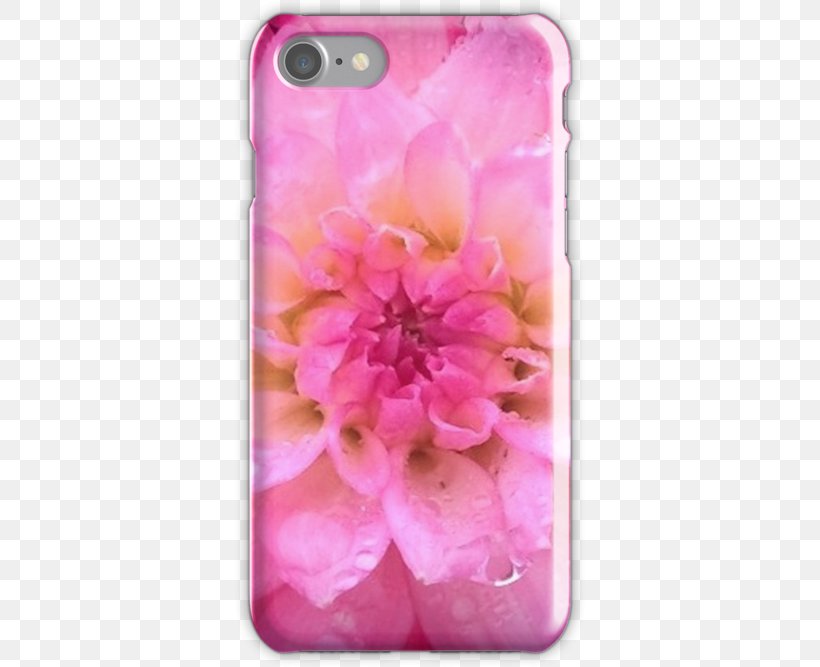Peony Pink M RTV Pink Dahlia Petal, PNG, 500x667px, Peony, Dahlia, Flower, Flowering Plant, Magenta Download Free