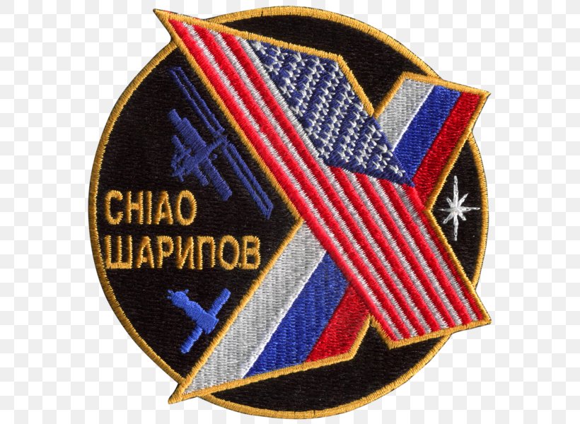 International Space Station Expedition 10 Outer Space Mission Patch Astronaut, PNG, 600x600px, International Space Station, Astronaut, Badge, Brand, Emblem Download Free