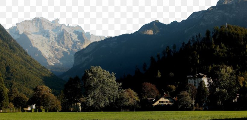 Jungfrau Mount Scenery Tourism Tourist Attraction, PNG, 1000x487px, Jungfrau, Alps, Biome, Cultural Tourism, Grass Download Free