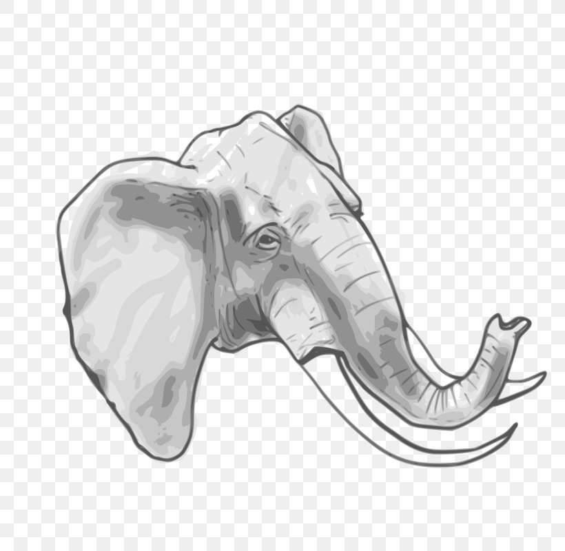 Elephant Clip Art, PNG, 800x800px, Elephant, African Elephant, Black And White, Cartoon, Circus Download Free