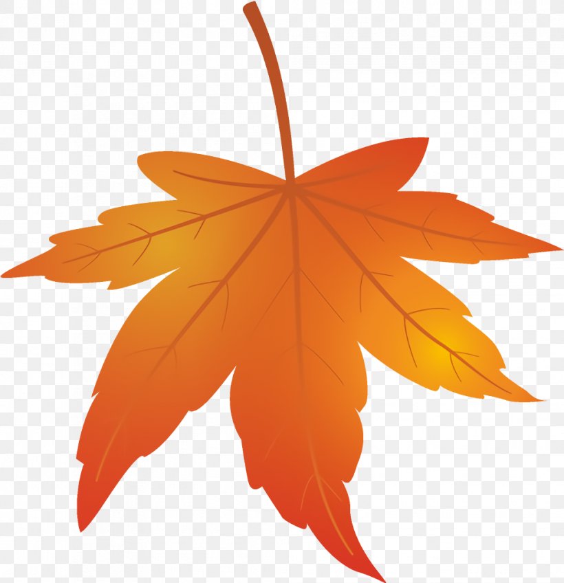 Maple Leaf Autumn Leaf Yellow Leaf, PNG, 992x1026px, Maple Leaf, Autumn Leaf, Black Maple, Deciduous, Leaf Download Free