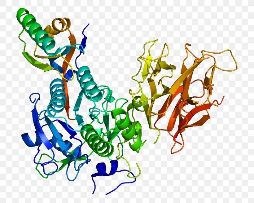 PCSK9 Bococizumab Protein Alirocumab Statin, PNG, 764x655px, Bococizumab, Alirocumab, Art, Artwork, Cardiology Download Free