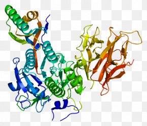 Protein Structure Images, Protein Structure Transparent PNG, Free download