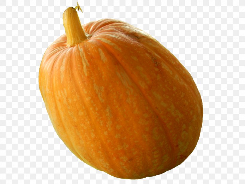 Pumpkin Calabaza Vegetarian Cuisine Gourd Winter Squash, PNG, 1024x768px, Pumpkin, Calabaza, Commodity, Cucumber Gourd And Melon Family, Cucurbita Download Free