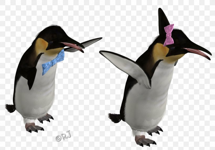 King Penguin Beak, PNG, 1003x700px, King Penguin, Beak, Bird, Fauna, Flightless Bird Download Free