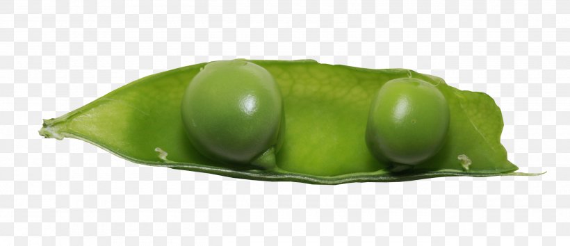 Snow Pea Green Bean Vegetable, PNG, 2600x1124px, Snow Pea, Bean, Common Bean, Food, Fruit Download Free