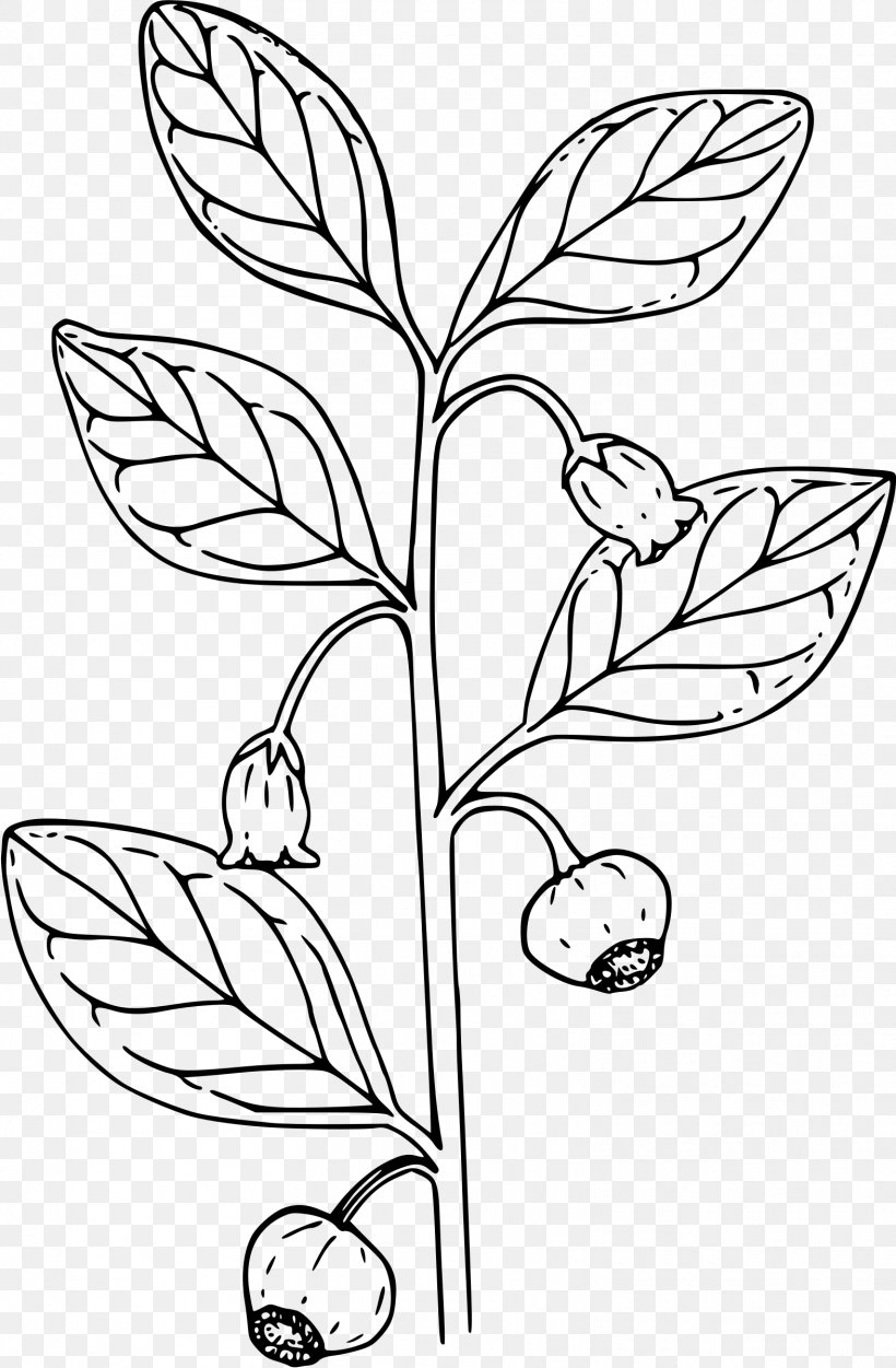 Coloring Book Berry Bears Clip Art, PNG, 1572x2400px, Coloring Book, Art, Bearberry, Black And White, Branch Download Free