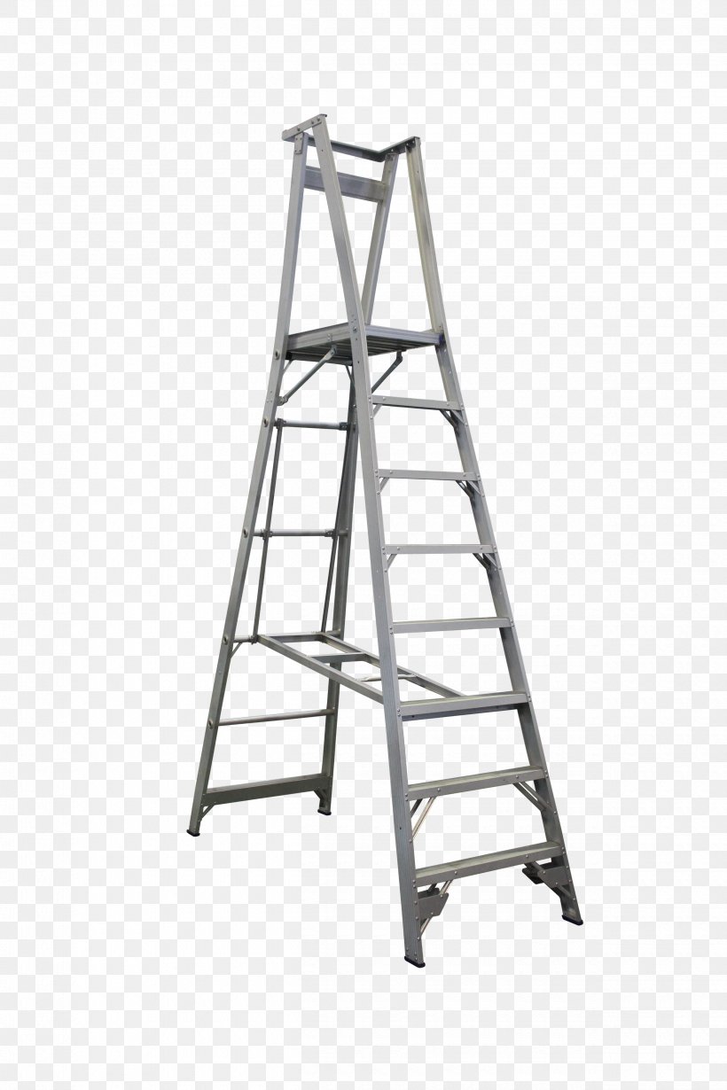 Ladder Cartoon, PNG, 2500x3750px, Ladder, Aluminium, Building, Bunnings Warehouse, Complete Hire Download Free