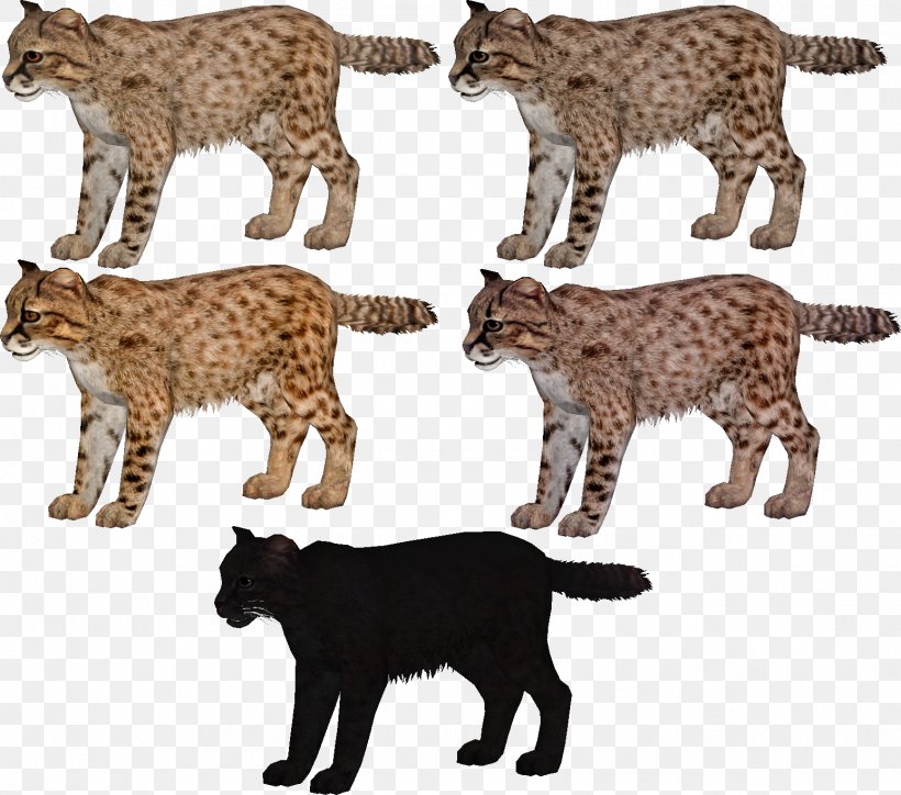 Cat Zoo Tycoon 2: Marine Mania Cheetah Ocelot Leopard, PNG, 1547x1366px, Cat, Age Of Empires, Animal Figure, Big Cats, Bobcat Download Free