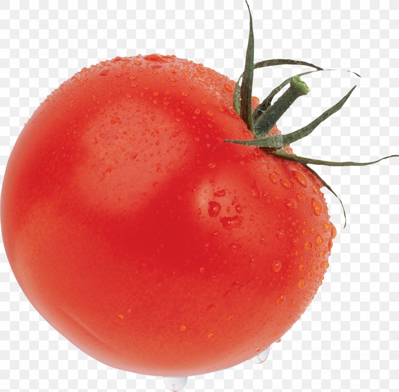 Cherry Tomato Cheese And Onion Pie Icon, PNG, 2800x2755px, Cherry Tomato, Artikel, Auglis, Bush Tomato, Cucumber Download Free